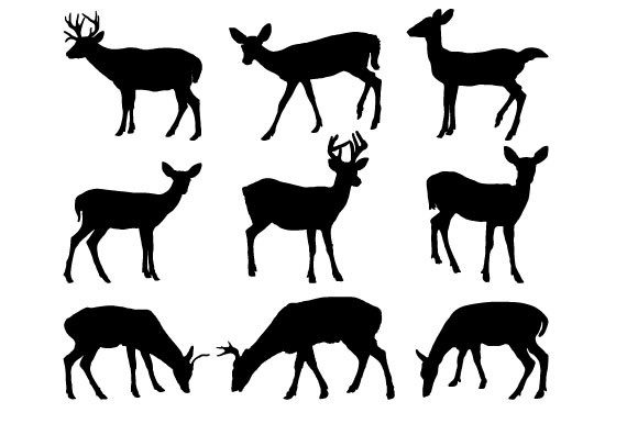 Download Key Deer Vector Graphic Design - Vector graphic Collection