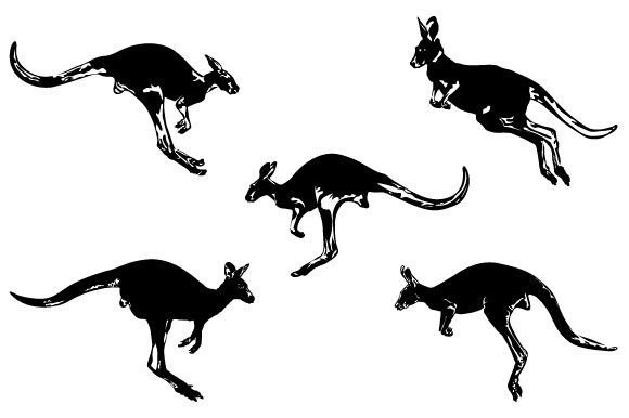 Download Kangaroo Vector Graphic Design - Vector graphic Collection